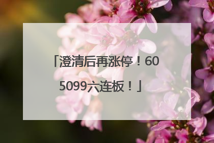 澄清后再涨停！605099六连板！